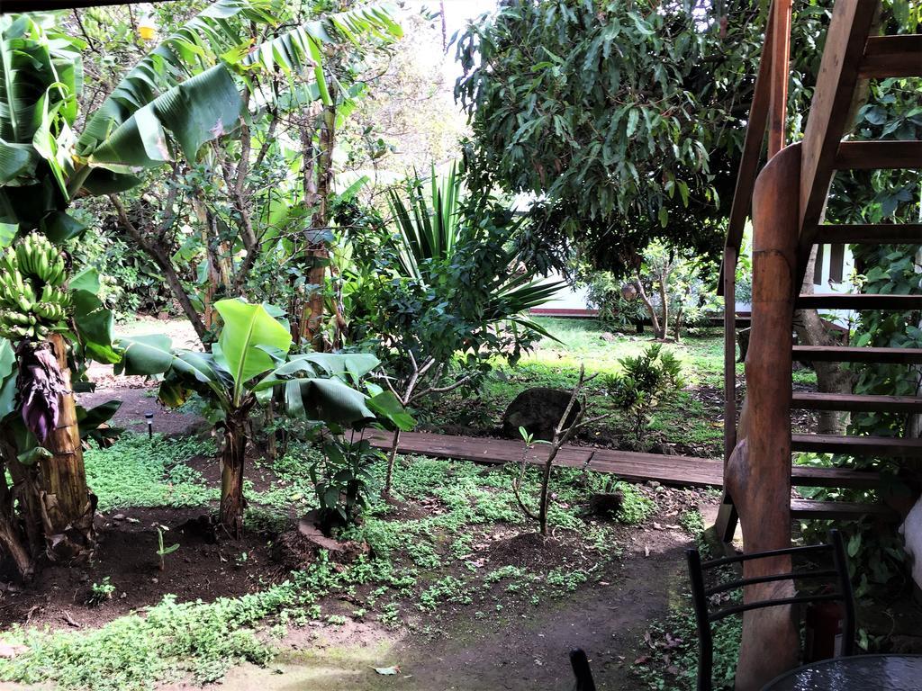 هانجا روا Hostal Marari المظهر الخارجي الصورة