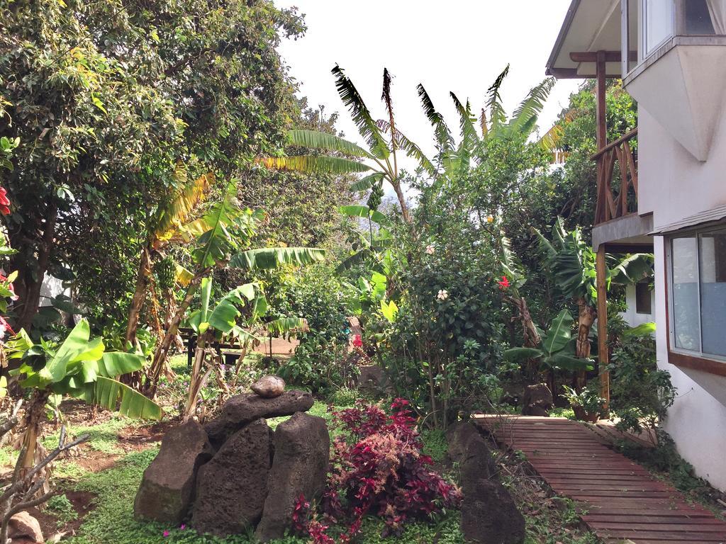 هانجا روا Hostal Marari المظهر الخارجي الصورة