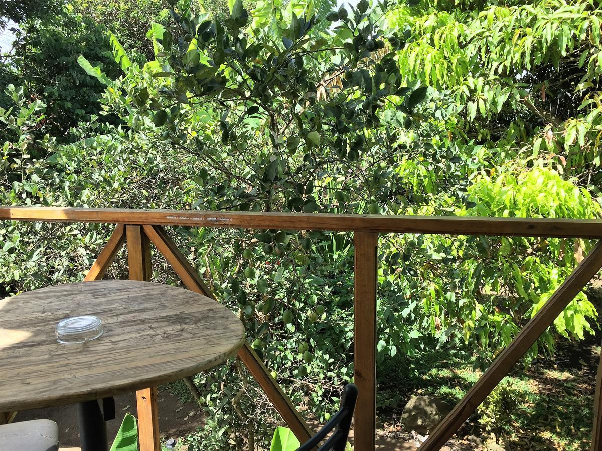 هانجا روا Hostal Marari المظهر الخارجي الصورة